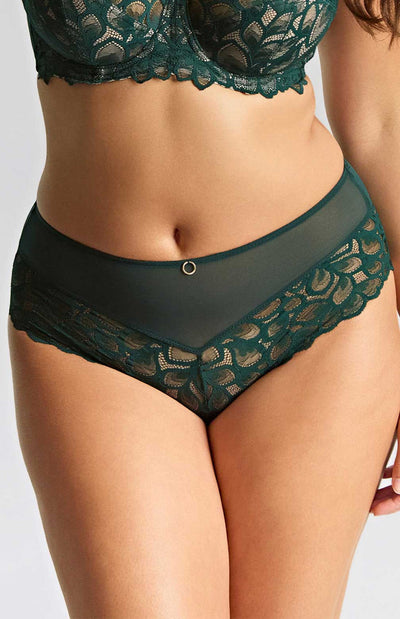 Allure Deep Brief - Forest Green