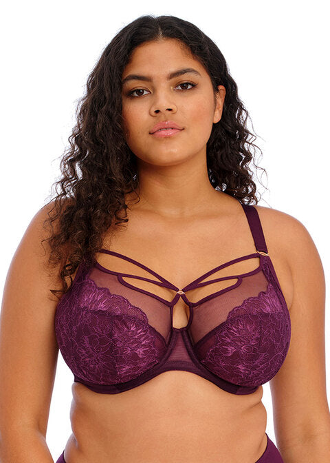 Brianna Plunge Bra - Blackberry