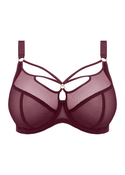 Sachi Plunge Bra - Cabernet
