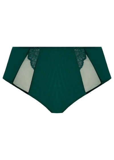 Brianna Full Brief - Rainforest