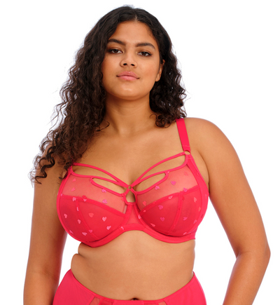 Sachi Plunge Bra - Red Confetti