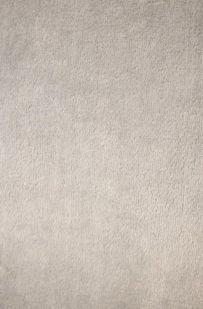 Luxe Plush Robe- Frost Gray