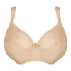 Salerno Full Cup - Candy Ginger (I-M)