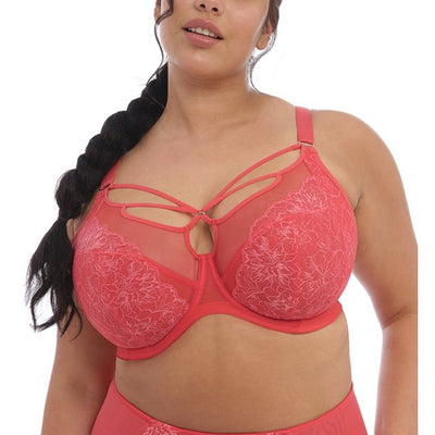 Brianna Plunge Bra - Cayenne