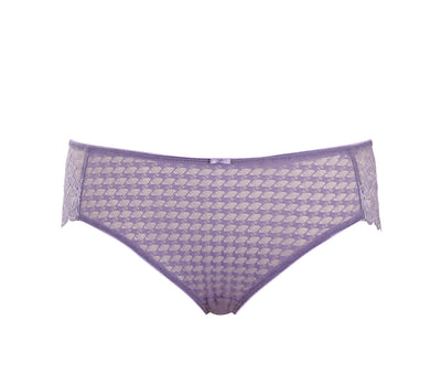 Envy Bikini Brief - Violet
