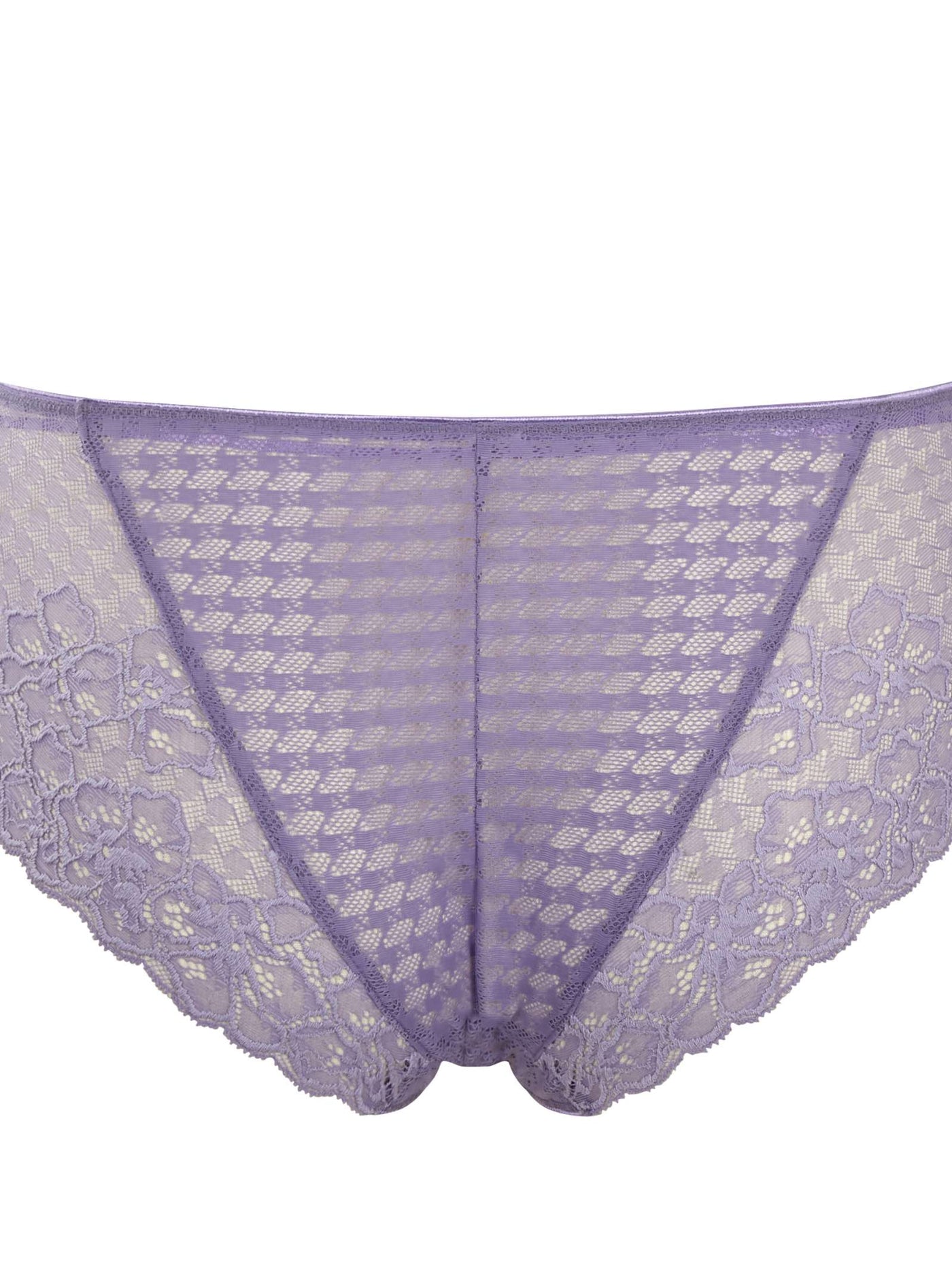 Envy Bikini Brief - Violet