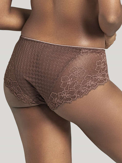 Envy Brief - Chestnut