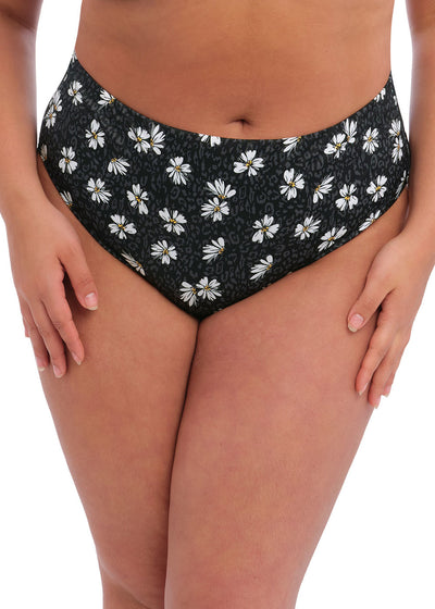 Plain Sailing Bikini Brief - Black Daisy